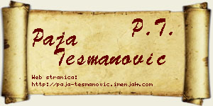 Paja Tešmanović vizit kartica